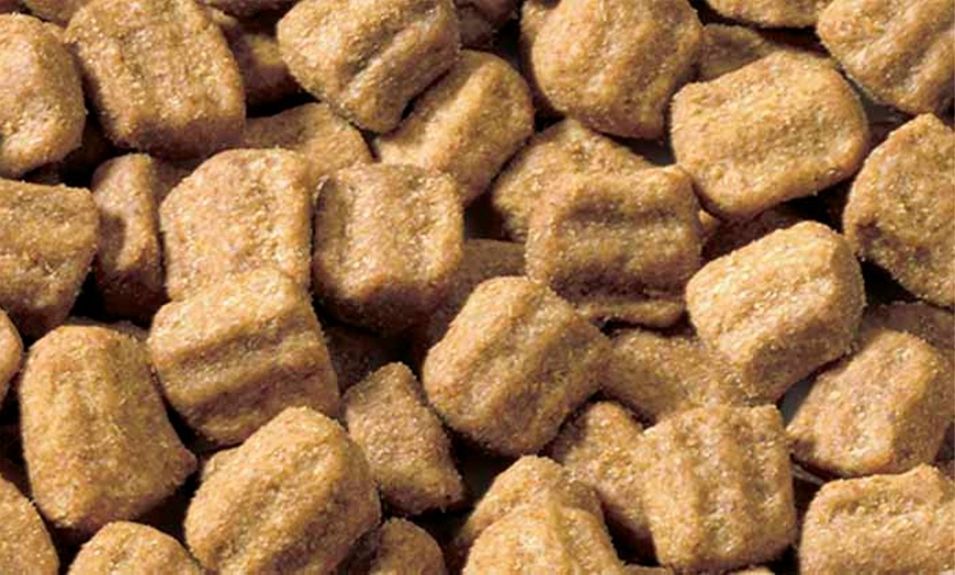 Image 12: Pedigree Dog Pouches and Dry Food