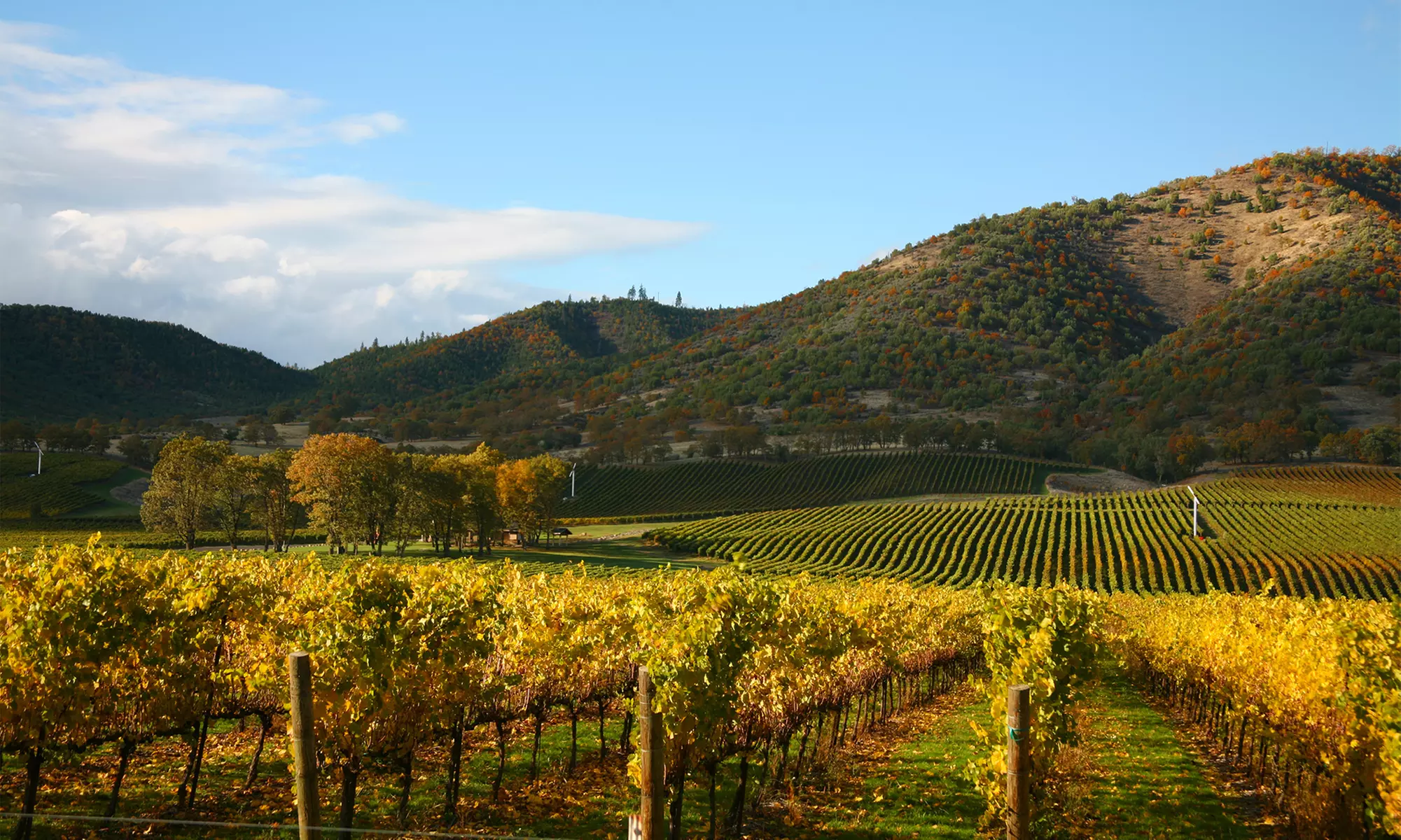 Stay at Best Western Premier Ivy Hotel Napa in Napa, CA, with Dates into December - Primary Image