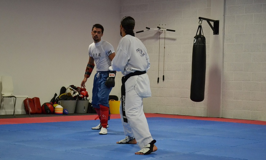 Image 5: Two Kids Taekwondo Lessons