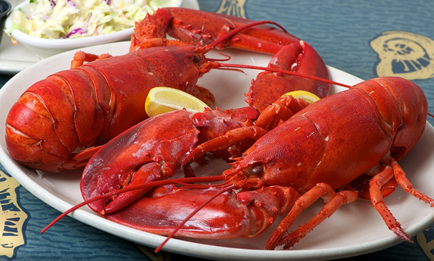 Lobster and Seafood - Lobster Haven | Groupon