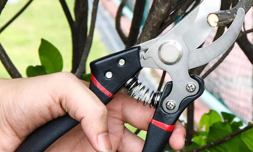 Image 2: Strong SK-5 Titanium Garden Secateurs