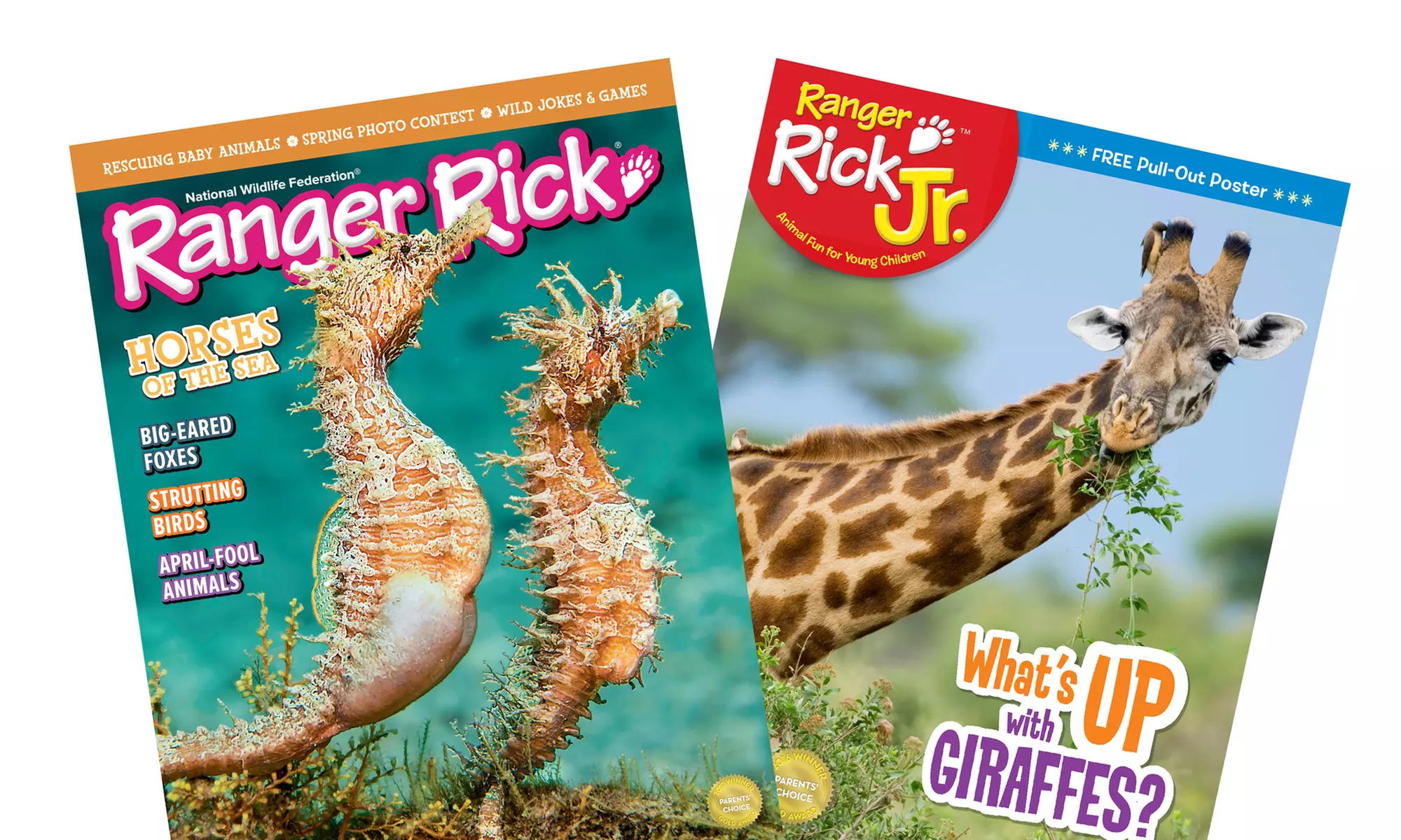 "Ranger Rick" or "Ranger Rick Jr." Magazine Subscription. Choose from Six-Month or One-Year Options. (20% Off) - Primary Image