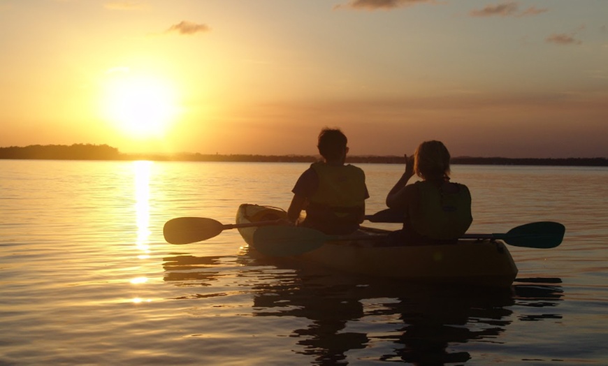 Image 6: Dolphin-View Kayak Tour or Private Day Tour to Double Island Point