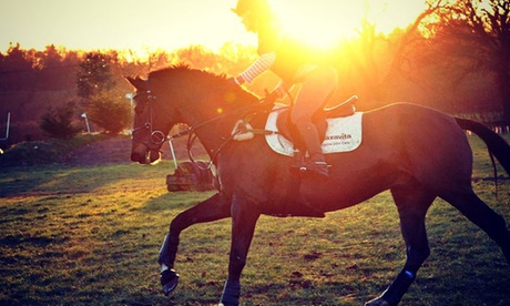 Una o 3 lezioni di equitazione per adulti e bambini alla Scuderia Crazy Jumping (sconto fino a 60%)