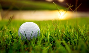 Up to 75% Off Round of Golf at Carriage Greens Country Club