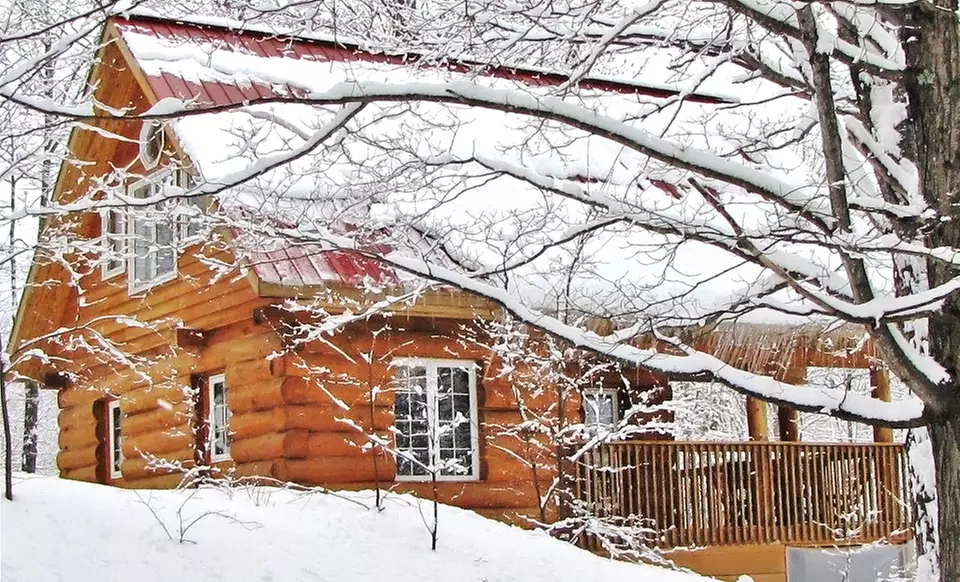 1-Night Cottage Stay with $50 Activity Credit at Springwood Cottages in Arden, ON. Combine Up to 2 Nights. - Primary Image