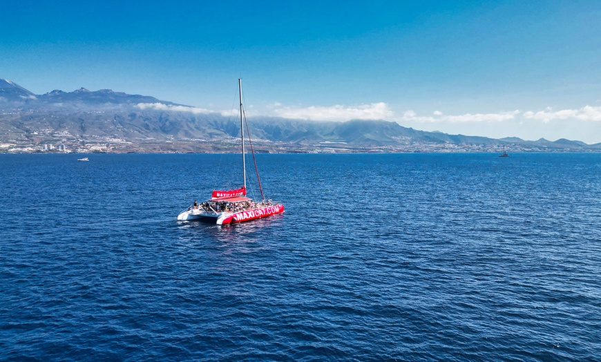 Image 3: ¡Descubre la aventura! Excursión en catamarán con comida y bebida