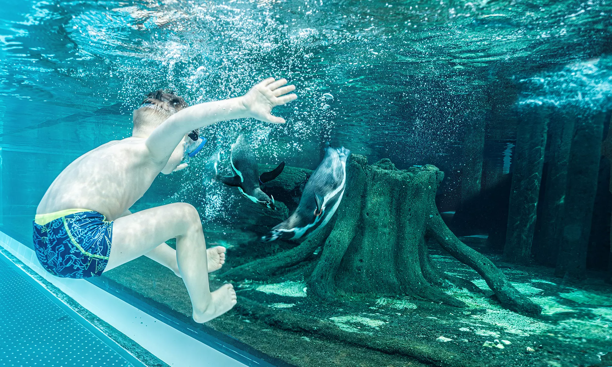 Tageskarte Sauna & Bad Spreewelten