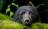 Photo Field Trip or Six-Week Photo Workshop for One, Two, or Four from Clock Tower Images (Up to 77% Off)