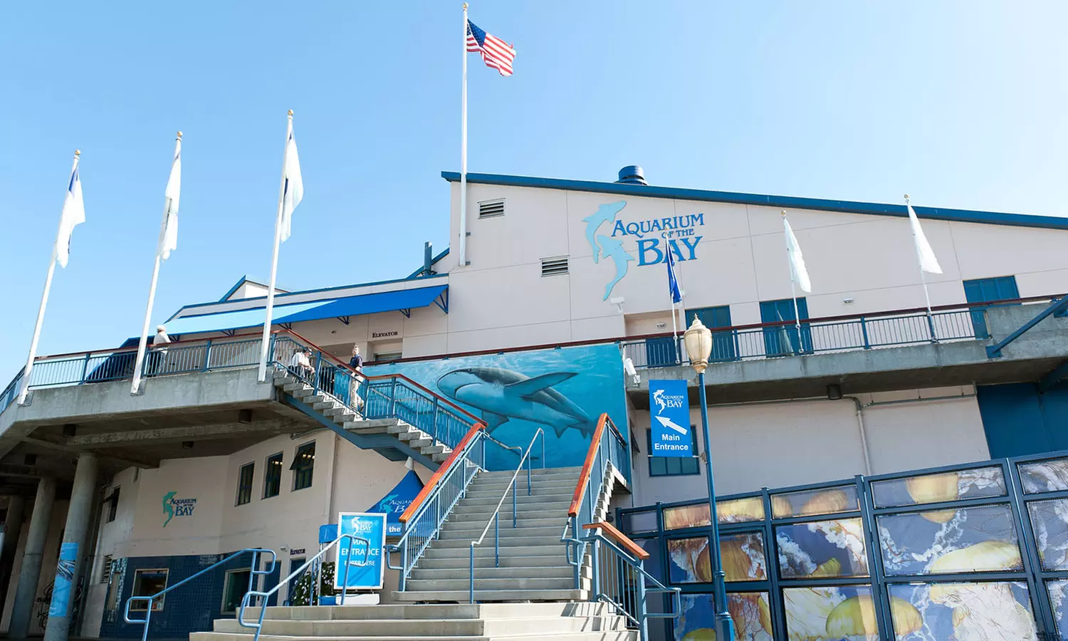 One-Year Family or Family Plus Membership to Aquarium of the Bay (Up to 18% Off) - Second Medium