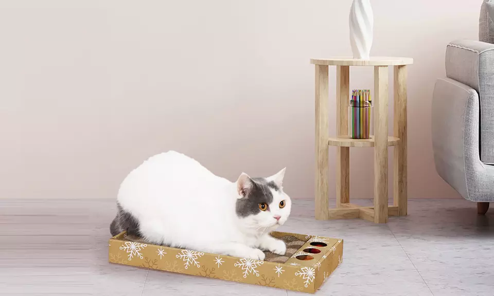 Tavolette tiragraffi in cartone riciclato per gatti
