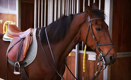 Horse Stall﻿ and Facility Access for One or Three Months at Sunshine Meadows Equestrian Village (Up to 54% Off)  - Primary Image