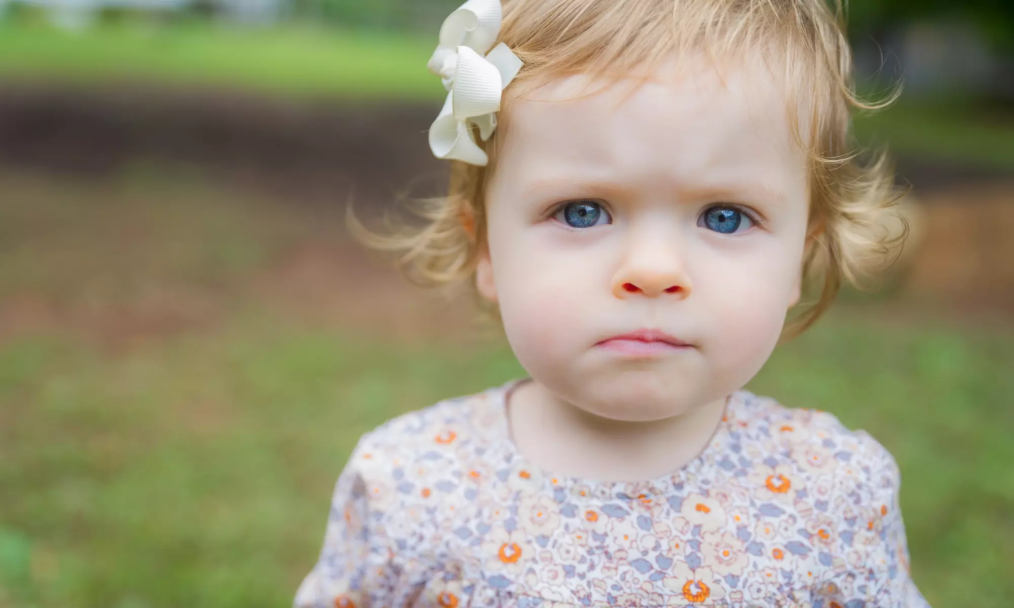 60-Minute Family Photo Shoot from L. Reagan Lunn Photography (75% Off) - Primary Image