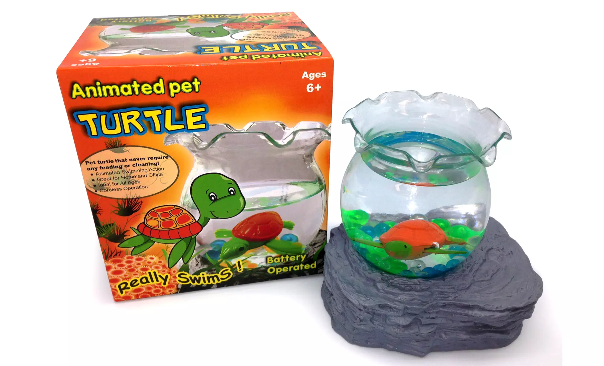 Animated Pet Fish or Turtle in Bowl - Second Medium