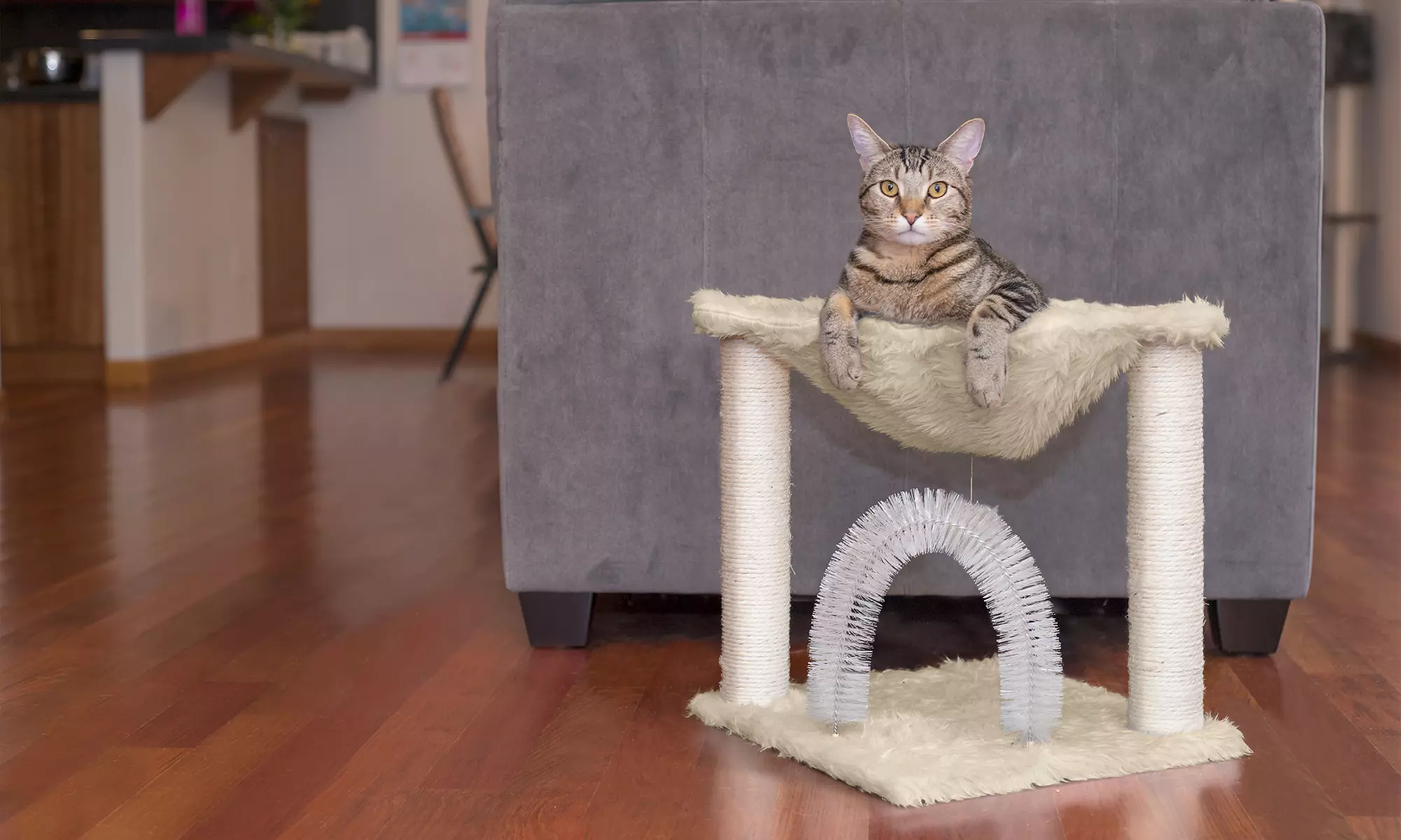 Tiger Tough Cat Furniture with Plush Hammock - Primary Image