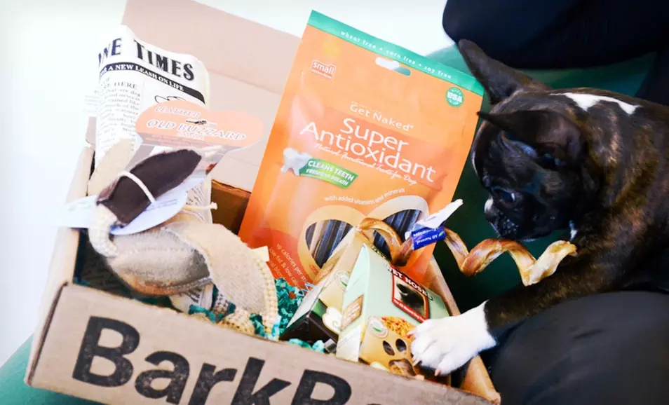 $19.99 for a One-Month Trial Subscription for Dog Goodies from BarkBox ($29 List Price). Free Shipping. - Second Medium