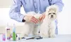 $19 for an Ultimate Guide to Dog-Grooming Course at Holly and Hugo ($175 Value)