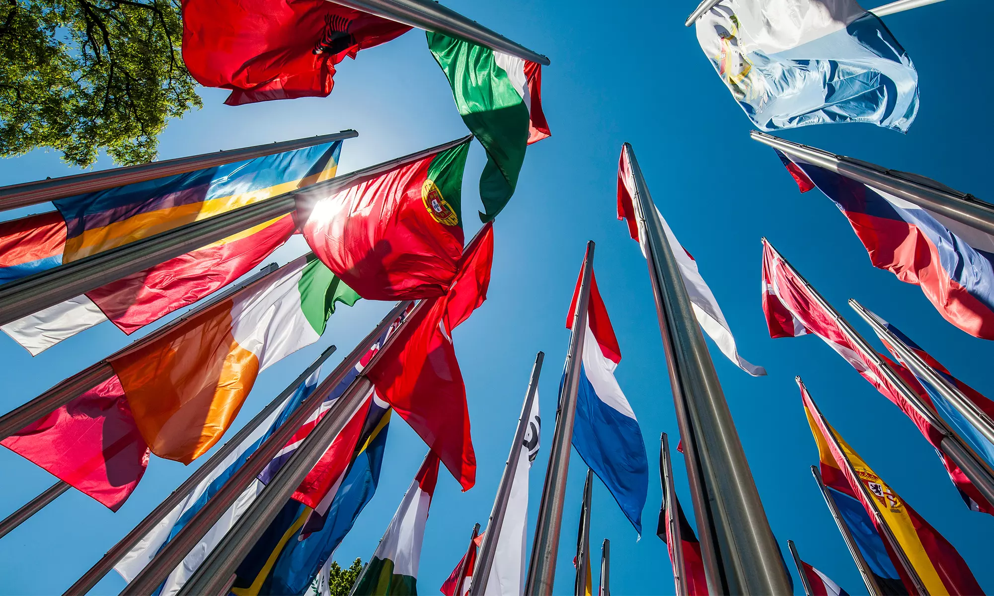 One, Two, or Three Language Courses for Beginners from Wappo Learning (Up to 92% Off) - Primary Image