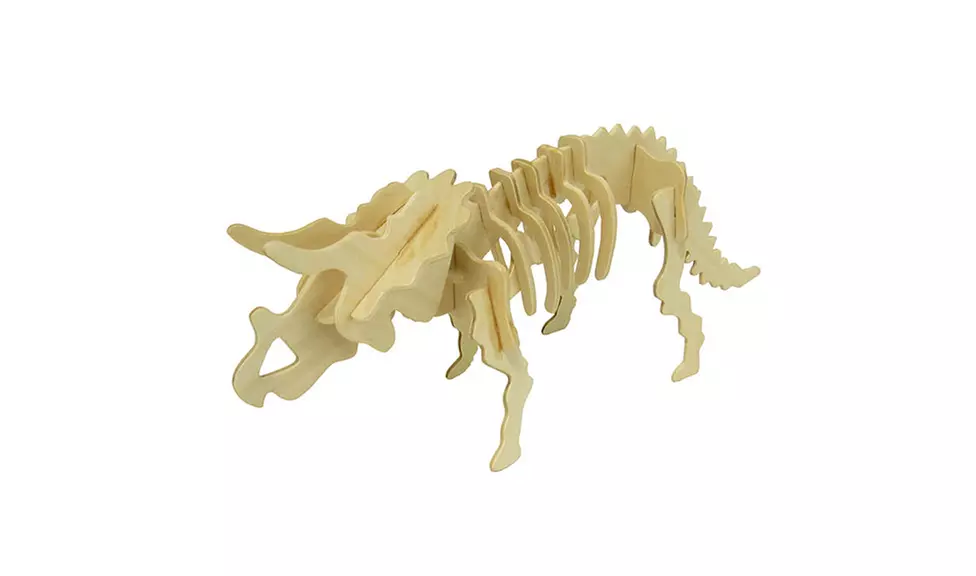 3D Wooden Dinosaur Triceratops or Styracosaurus Puzzle Set - Image 3