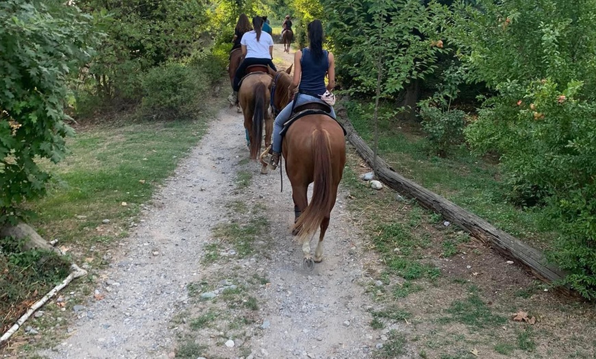 Image 4: Lezioni di equitazione per adulti o bambini da Grace Ranch