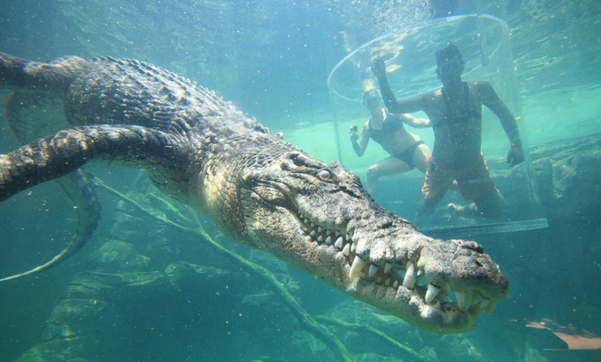 Image 9: Darwin: Cage of Death w/ Full Day Entry or Big Croc Encounter VIP Tour