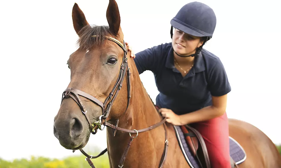 One, Three, or Five Horseback Riding Lessons at Willow Creek Equestrian Center, LLC (Up to 52% Off) - Primary Image