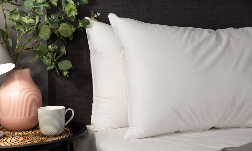 Image 4: Relax Touch of Luxury Goose Feather Pillows