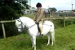 Private Horse Riding Lesson With a One-Hour Trek at MatchMoor - Image 2