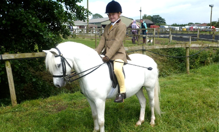 Image 2: Horse Riding and Trek