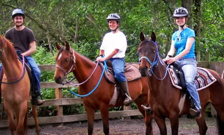 Horseback Rides and Farm Visits at Morris's Shadow Mountain Stables in Auburn (Up to 55% Off). Five Options Available. - Primary Image