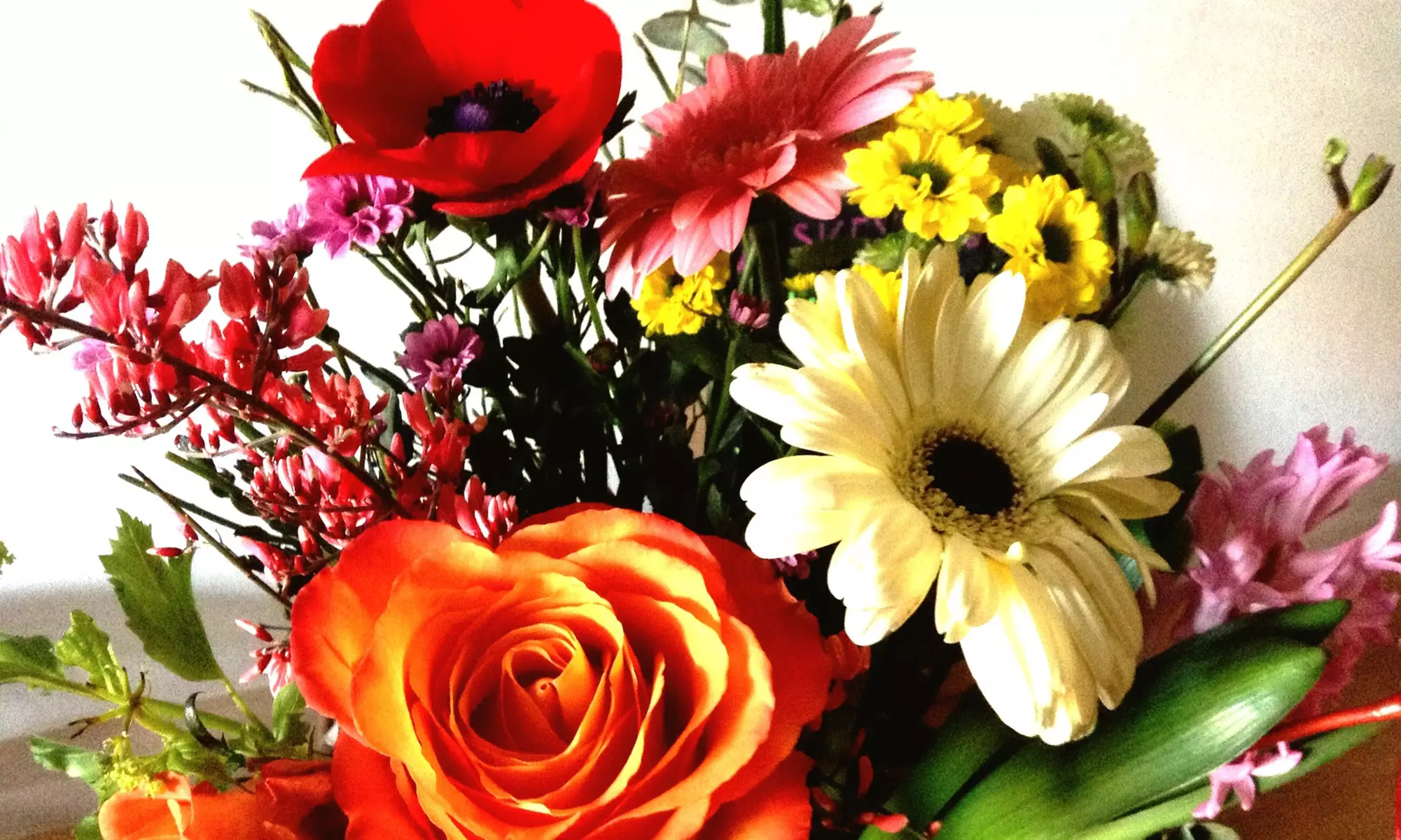 $25 for $50 Worth of Flowers at Brownsburg Flower Shop - Primary Image