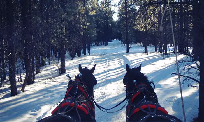 Sleigh Ride, Hot Cocoa, and Bonfire for Two or Four People (Up to 47% Off) - Primary Image