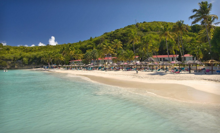 Halcyon Cove by Rex Resorts in - St. John's, null, Antigua and Barbuda ...