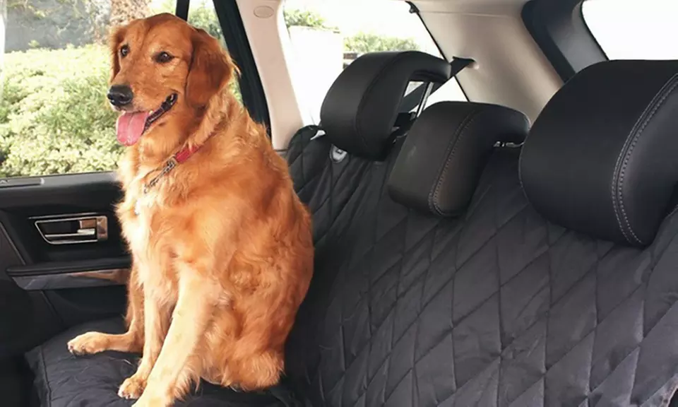 1 ou 2 couvertures de protection de sièges auto pour animaux - Primary Image