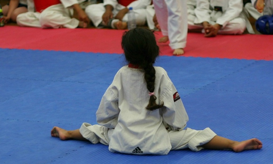 Image 3: Two Kids Taekwondo Lessons