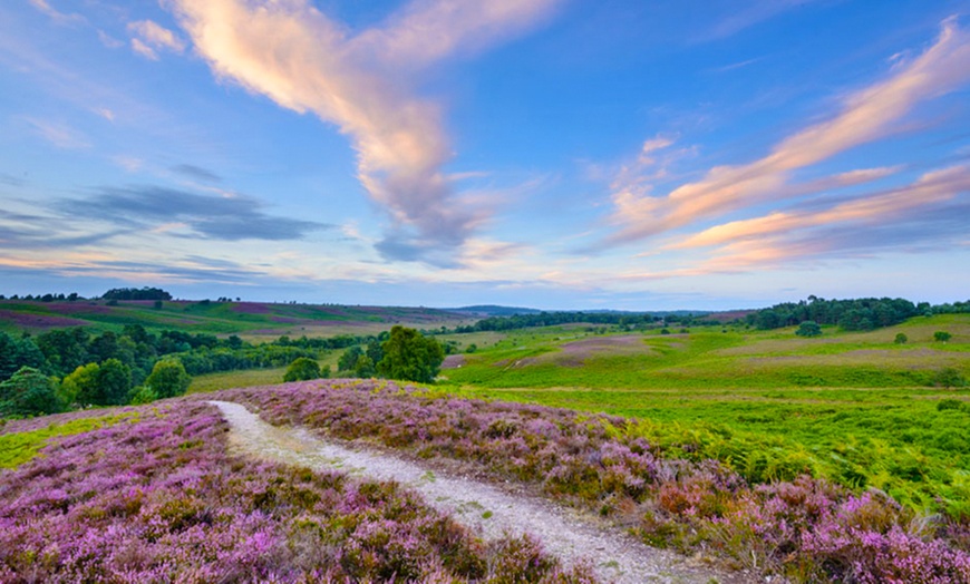 Image 2: Photography Course, New Forest