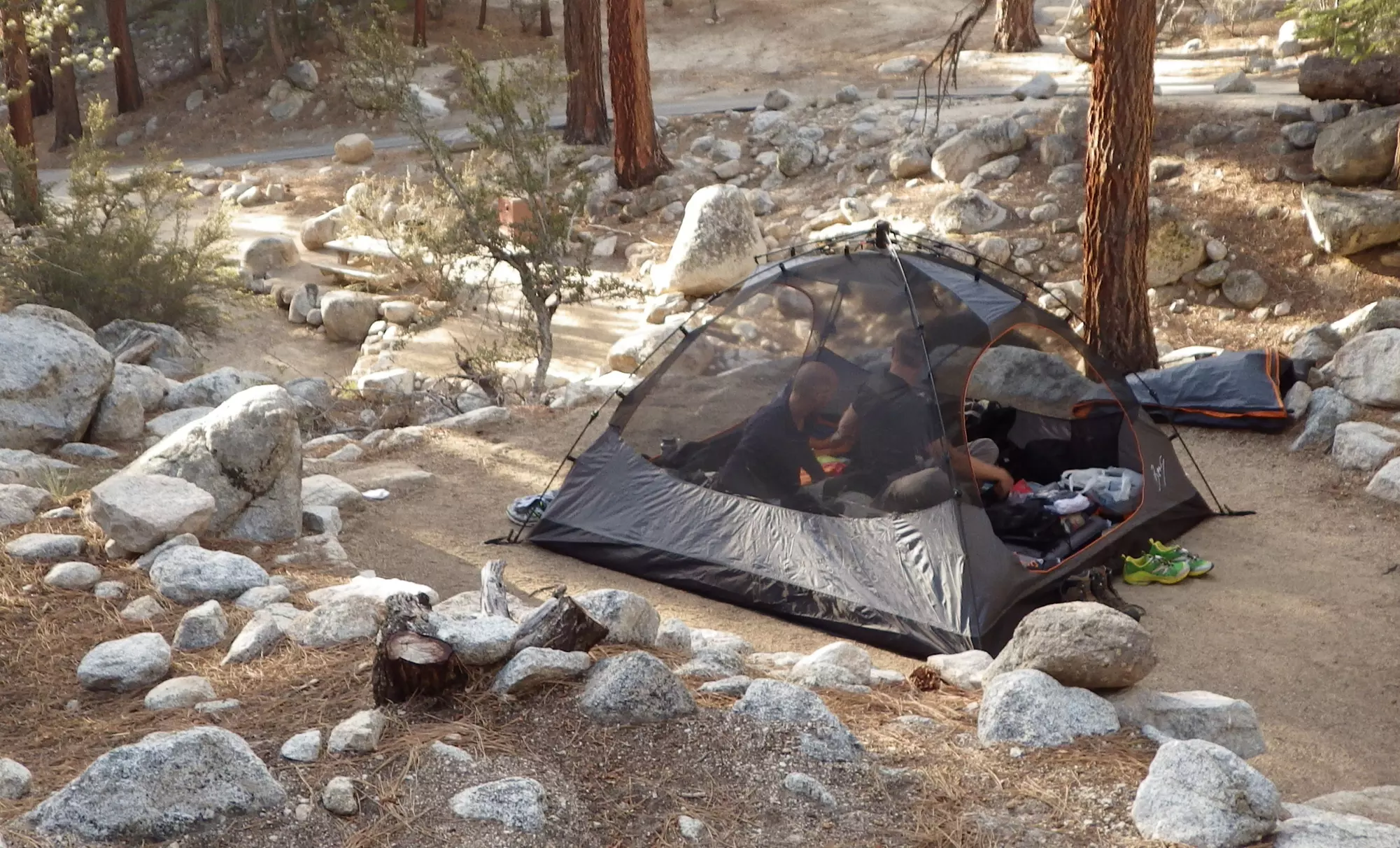 Bear Grylls Rapid Series 4-Person Tent - Second Medium