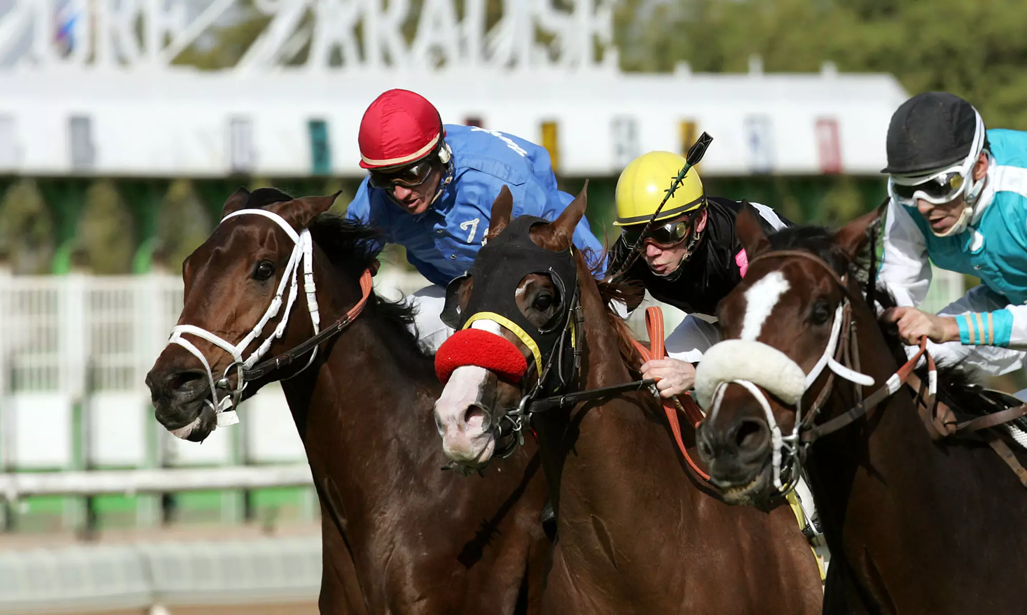 A Day at the Races Package for Two at Turf Paradise (November 18- December 31) - Primary Image