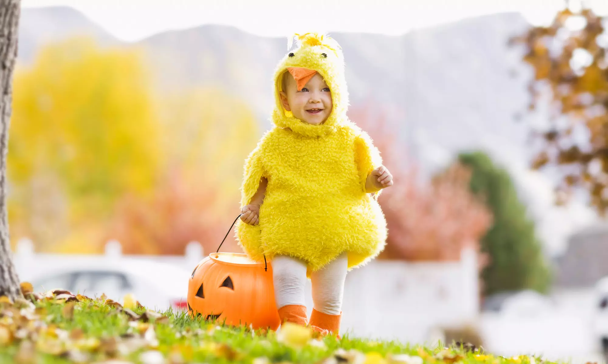 Chesterfield Berry Farm for Five or Seven on September 23—November 5 (56% Off). Six Options Available. - Primary Image