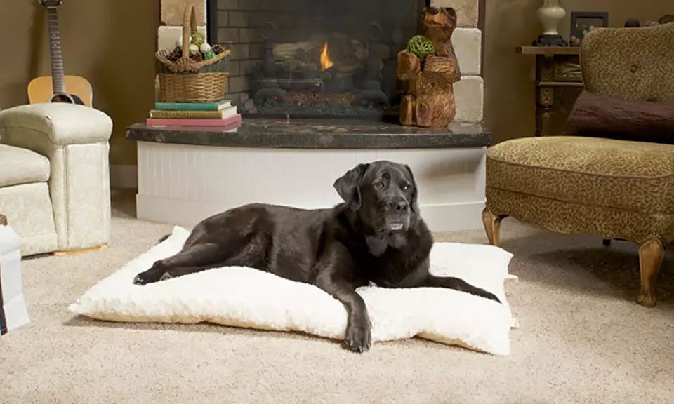 Furhaven Ultra-Plush Pet Crate Pillows - Primary Image