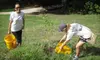 If 45 People Donate $10, Then Trees for Houston Can Water & Maintain Six Trees Affected by This Summer’s Drought