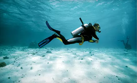 Full Diving Certification, Open-Water Referral, or SSI Recreational Diving Courses at Northeast Scuba in Chelmsford (Up to 54% Off) - Primary Image