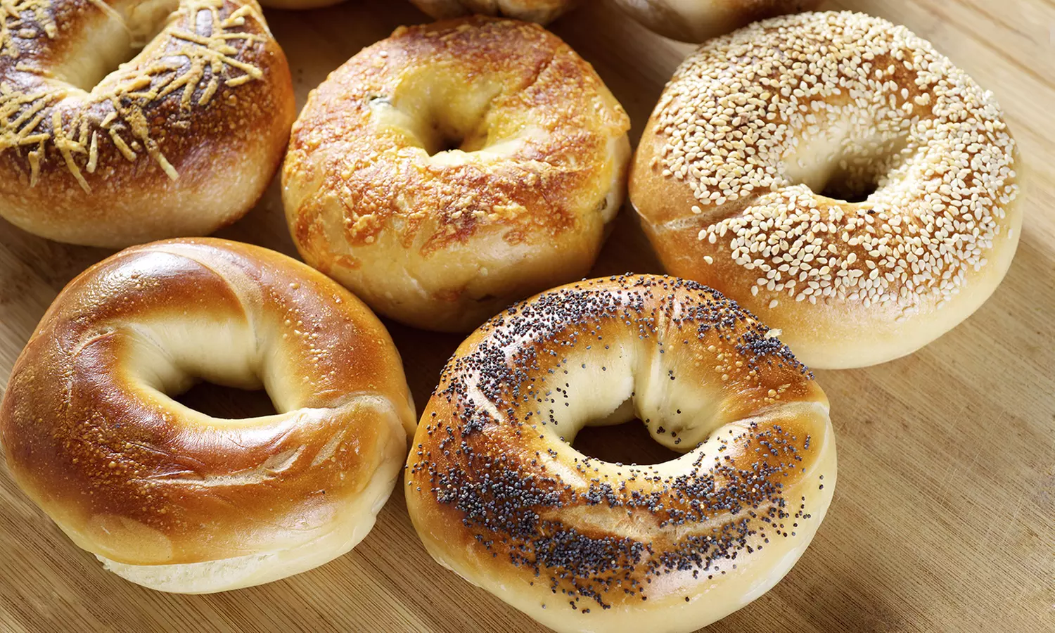 20% Cash Back at Rockstar Bagels - Primary Image