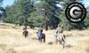 90-Minute Horseback Ride and Continental Breakfast for Two or Four at Estes Park Horseback (Up to 55% Off)