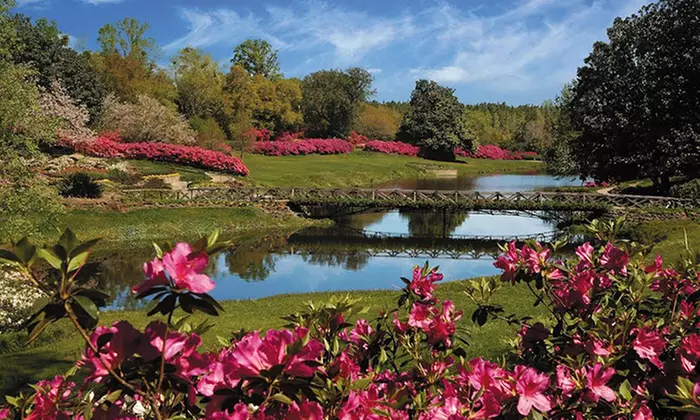 Bellingrath Gardens and Home Visit for Two, Four, or Six (Up to 51% Off) - Primary Image