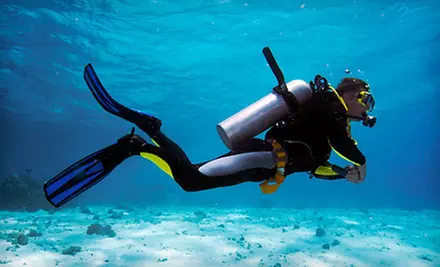 Diving-Equipment Rental with Regulators, Tanks, and Wetsuits for One or Two from Austin’s Diving Center (51% Off) - Primary Image
