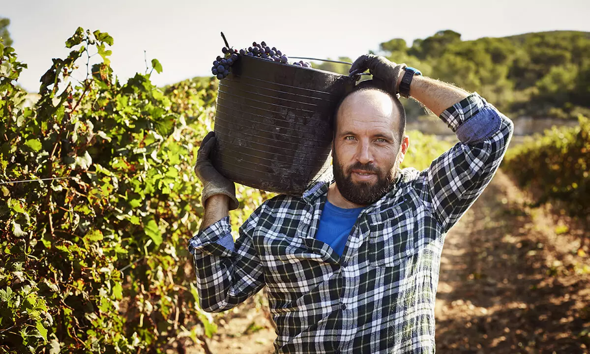 Dégustation de 12 vins du monde à domicile dans les hauts-De-France