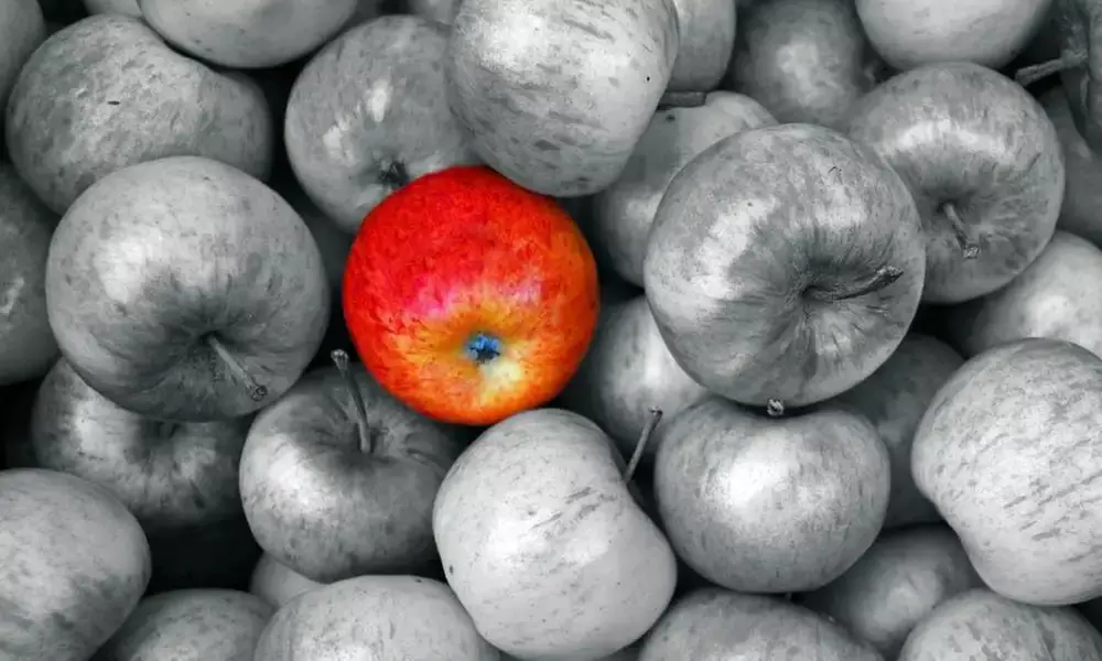 Formation en ligne à la psychologie positive