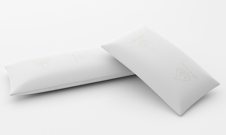 1 o 2 cuscini in memory foam Aloe Vera