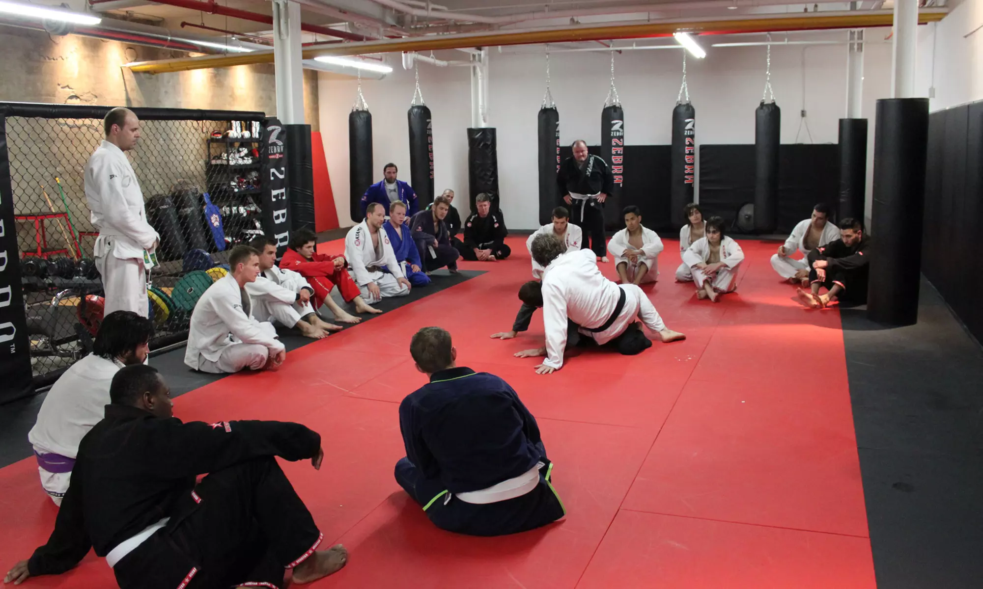 One Month of MMA or Kids' Jiu Jitsu Classes at Primal MMA Academy (Up to 67% Off). Three Options Available.   - Primary Image
